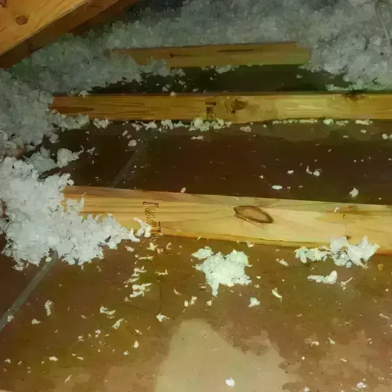 Attic Water Damage in Newport, VT